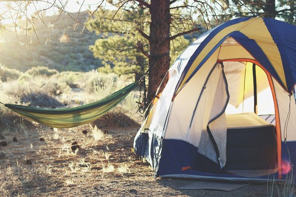 Comment organiser une session de yoga en pleine nature lors d'un camping ?